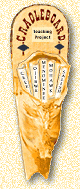 Cradleboard